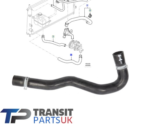 Radiator lower bottom hose - radiator,